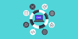 آشنایی با 9 تا از بهترین cms های اختصاصی